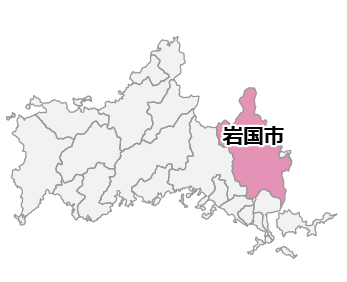 岩国市全域