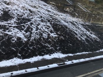 島根県　岩国から　ネクストプラン 